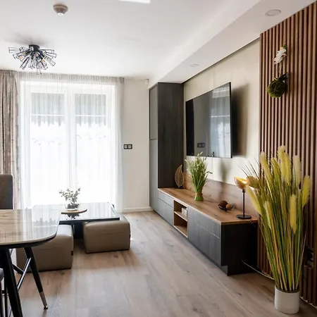 Designovy Apartman V Centru Liberce アパート